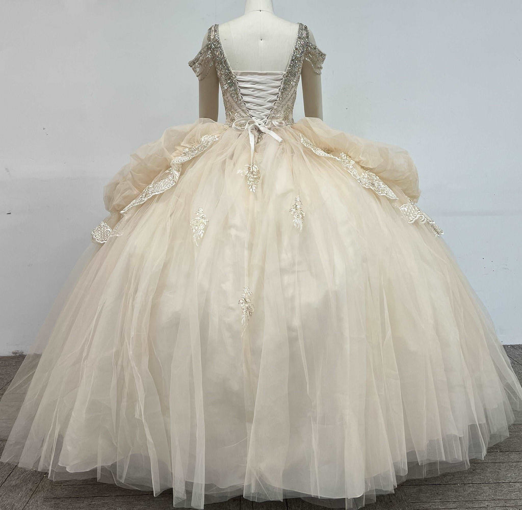 (LIVE 49) Adult gowns, tailored fit, eternal charm.