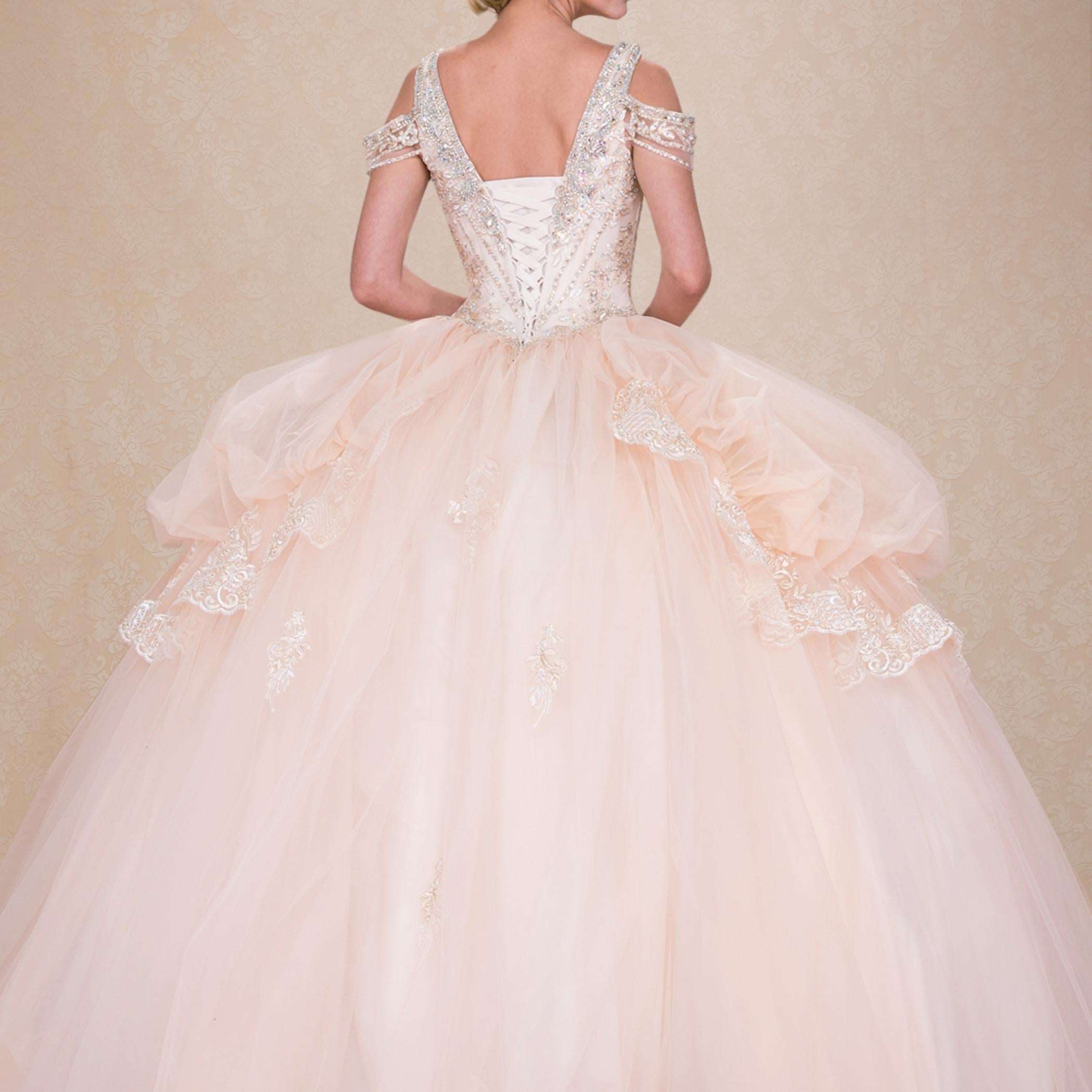 (LIVE 49) Adult gowns, tailored fit, eternal charm.