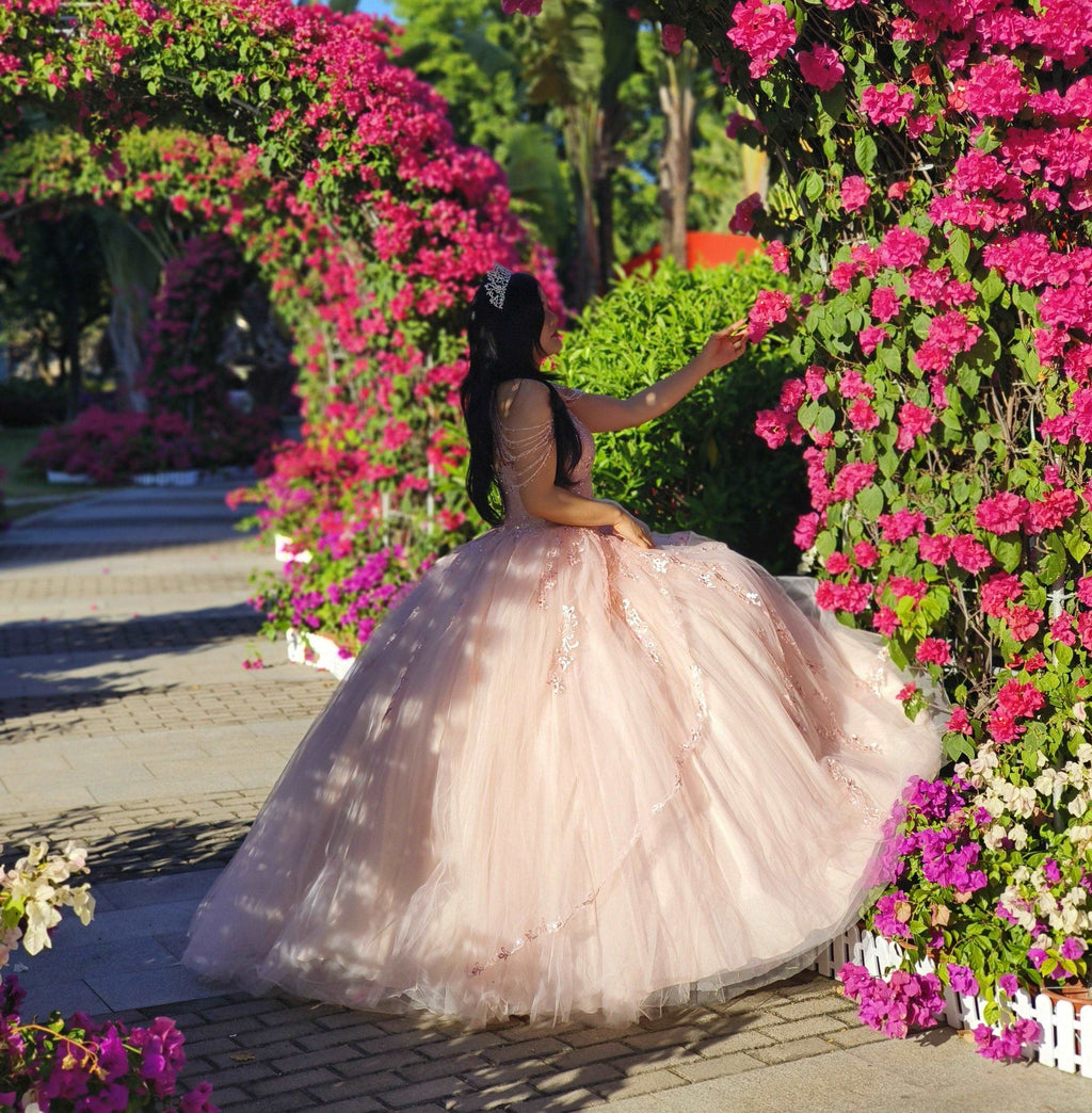 (LIVE 38) Adult gowns, tailored fit, eternal charm.