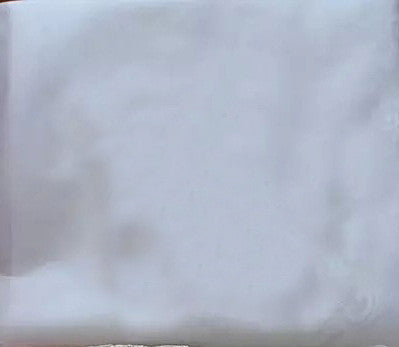 Princess Bride Mermaid Wedding Dress - White Trailing Backless Lace Gown