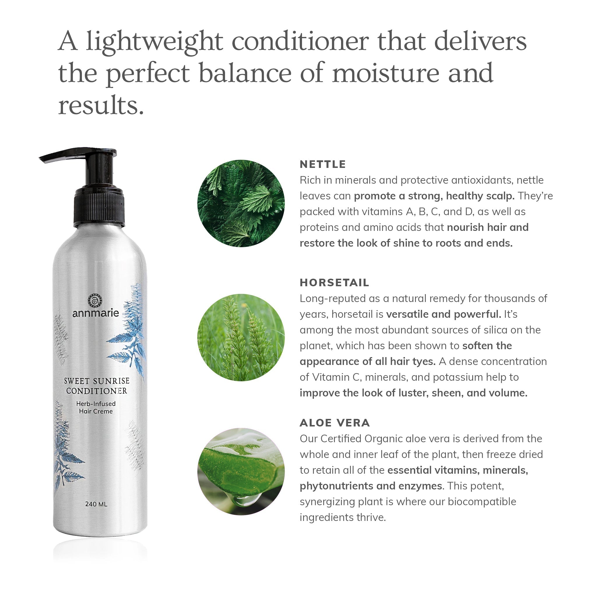 Sweet Sunrise Conditioner (240ml)- Collective