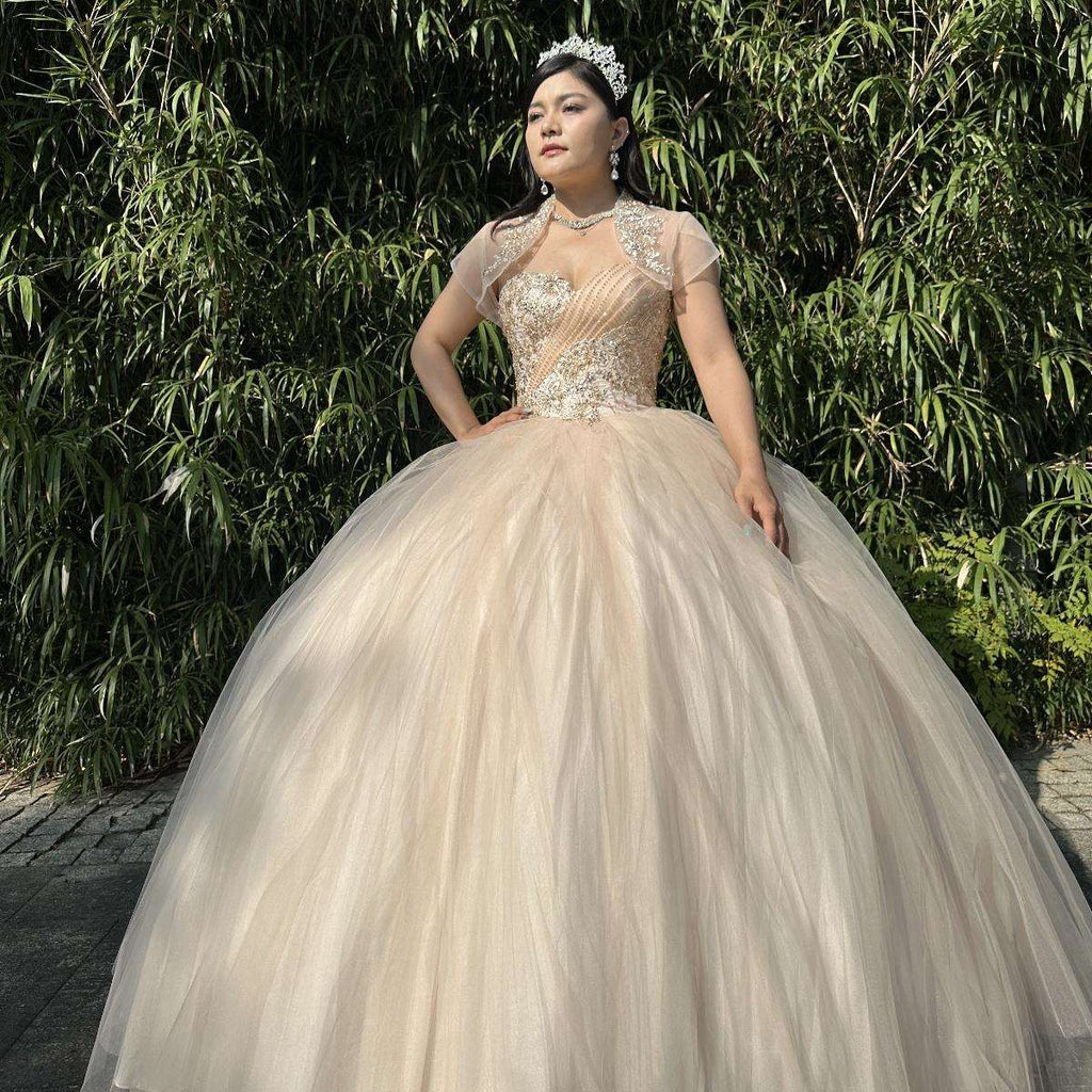 (LIVE 50) Fine gowns, 3D embroidery, weave dreamy tales.