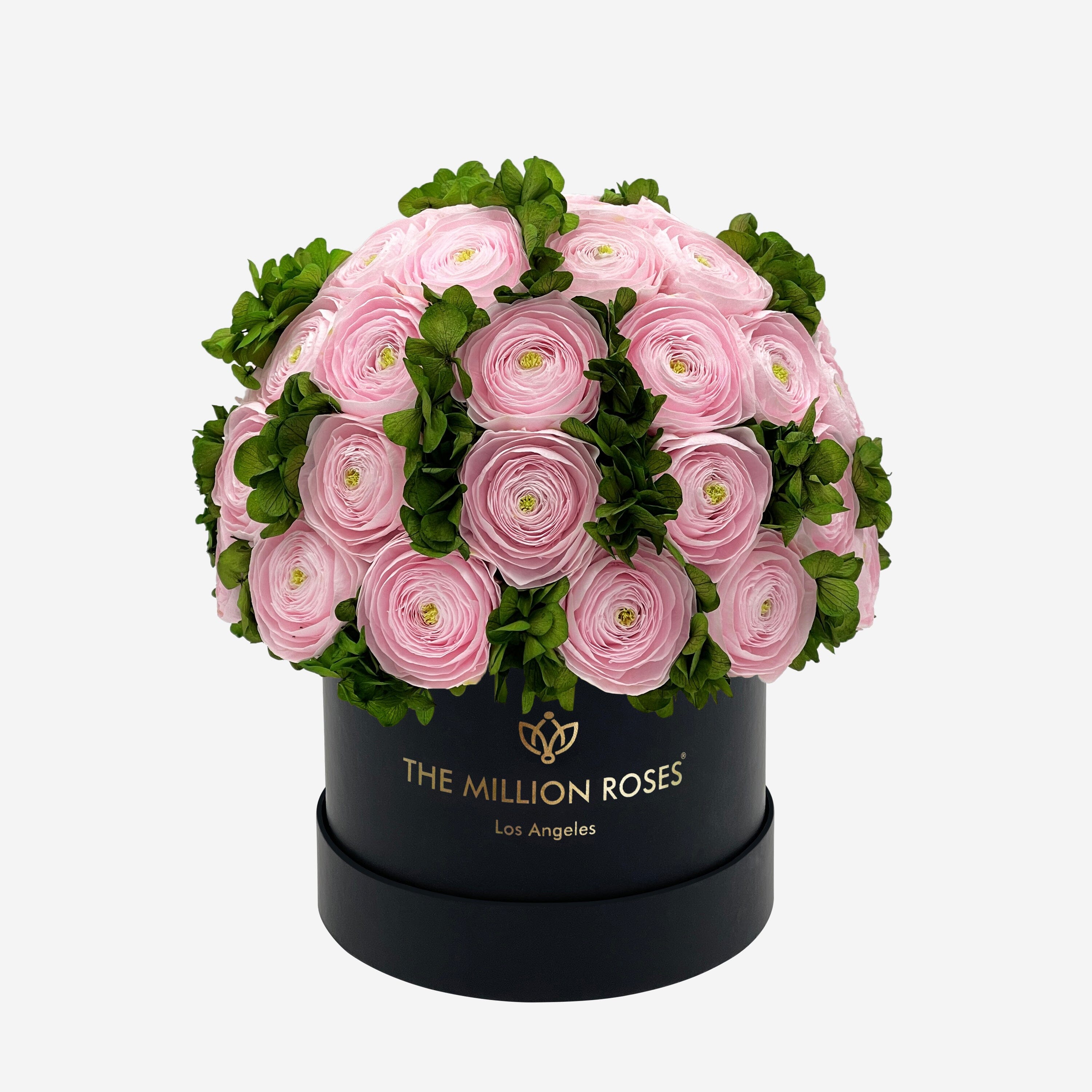 Classic Black Box | Light Pink Persian Buttercups & Green Hydrangeas