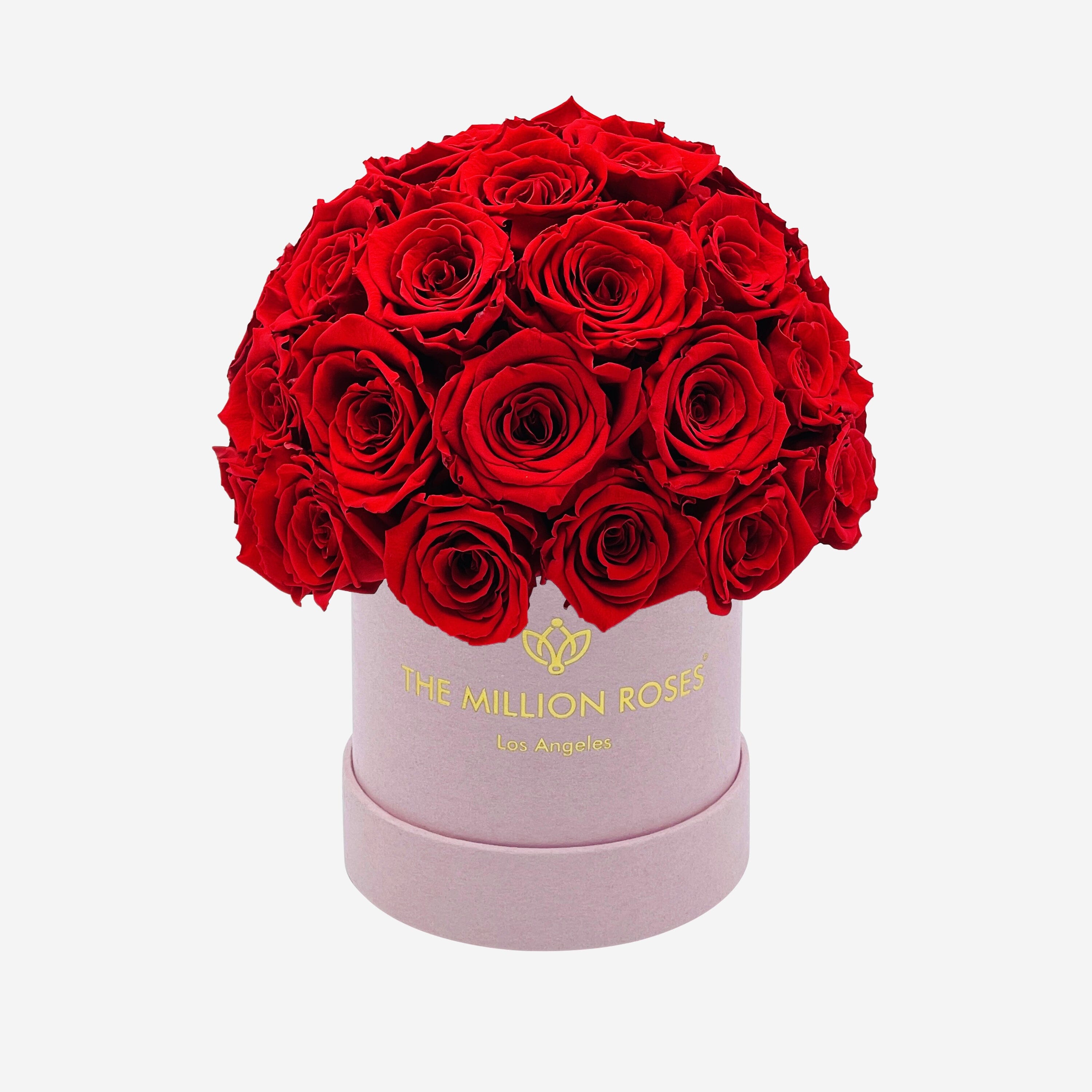 Basic Light Pink Suede Superdome Box | Red Roses