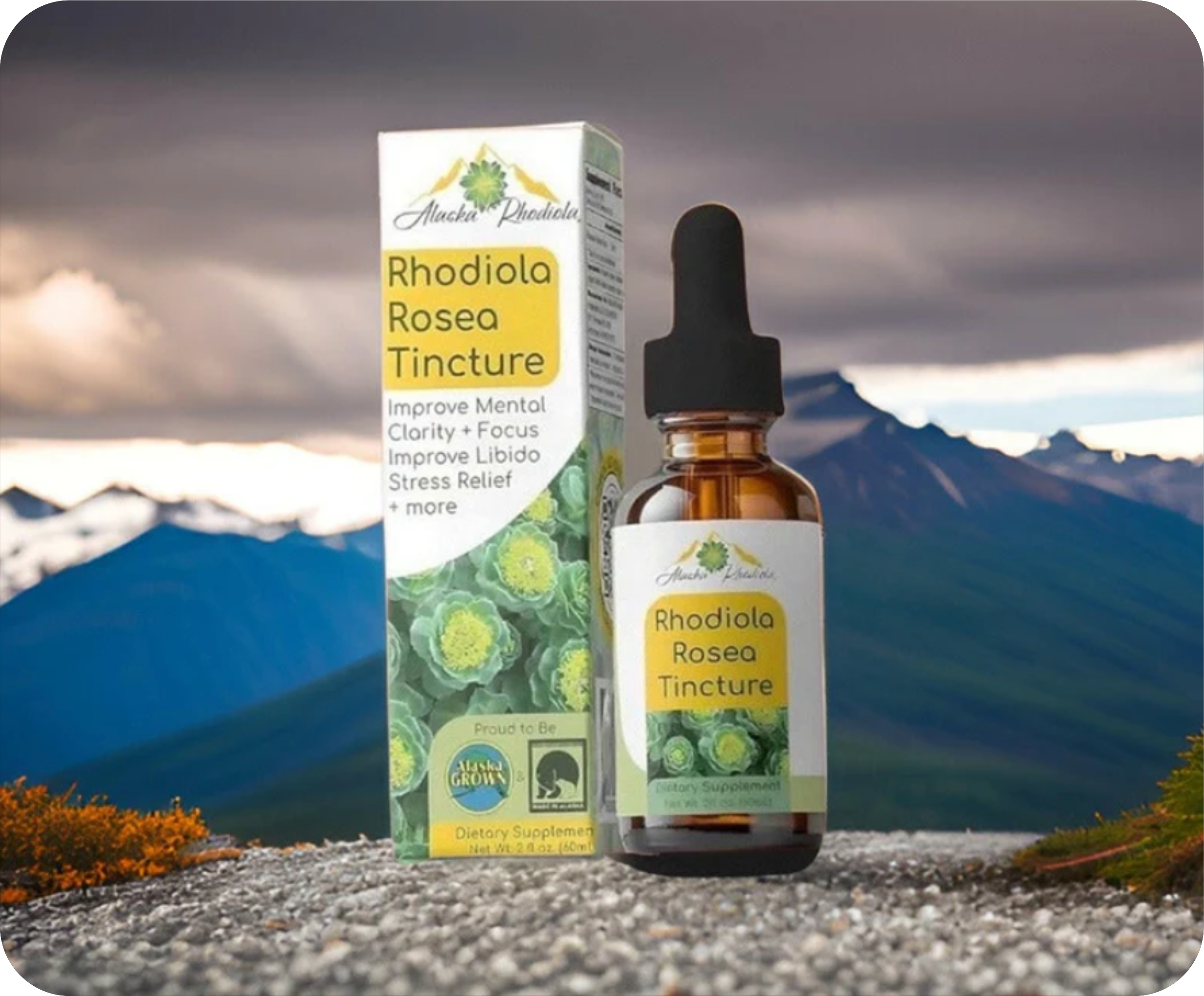 Rhodiola Rosea Tincture – Natural Stress & Energy Support (2 oz)